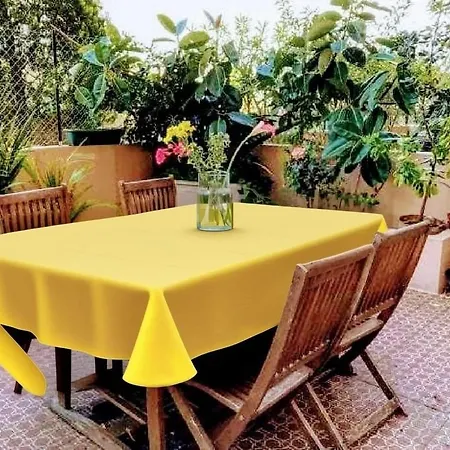 Un Jardin En